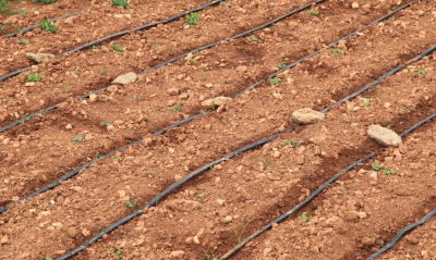 Reciclaje de Mangueras de Riego por Goteo: Economía Circular para el Sector Agrícola